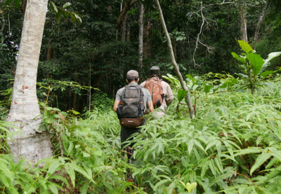 Balade entre forêt et savane